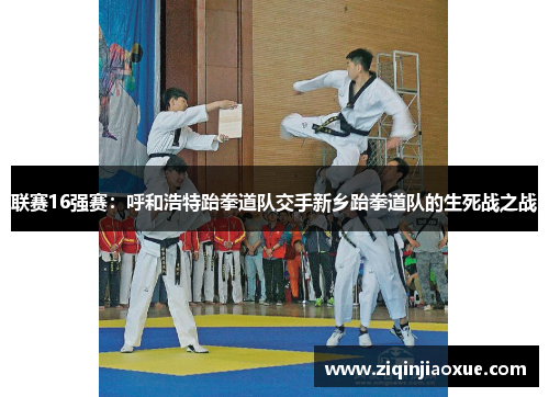 联赛16强赛：呼和浩特跆拳道队交手新乡跆拳道队的生死战之战